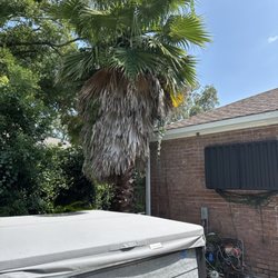 Strong Arm Tree Service