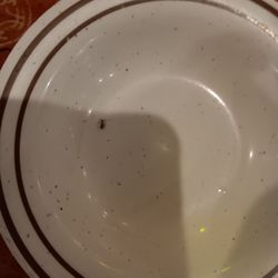 City Buffet - Found roach on my plate This is unacceptable. This is so unprofessional. And honestly I would never eat here ever again.