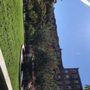 Photo of David Dorothy Ramler Park
