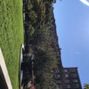 David Dorothy Ramler Park gift card