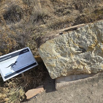 Dinosaur Ridge - Museums Near Me - Morrison, Colorado