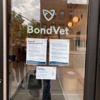 Bond Vet - Cobble Hill - Veterinarians Near Me - Brooklyn, New York Bond Vet - Cobble Hill - Veterinarians Near Me - Brooklyn, New York
