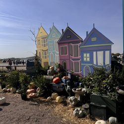 Sycamore Farm