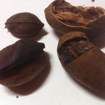 Sasnett Fruits & Nuts - Poorest of the poor quality pecans. - Fruits & Veggies Near Me - Byron, Georgia Sasnett Fruits & Nuts - Poorest of the poor quality pecans. - Fruits & Veggies Near Me - Byron, Georgia
