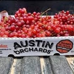 Austin Orchards