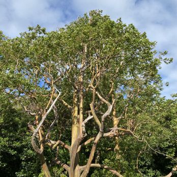 Epic Maui Hikes - Tours Near Me - kihei, Hawaii Epic Maui Hikes - Tours Near Me - kihei, Hawaii