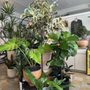 Photo of The Flora Culture