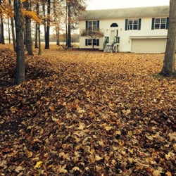 Stryker Lawn Service - Before