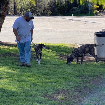 Good Dog Ink9 - Working on Dukes fear of large dogs. - Pet Training Near Me Good Dog Ink9 - Working on Dukes fear of large dogs. - Pet Training Near Me