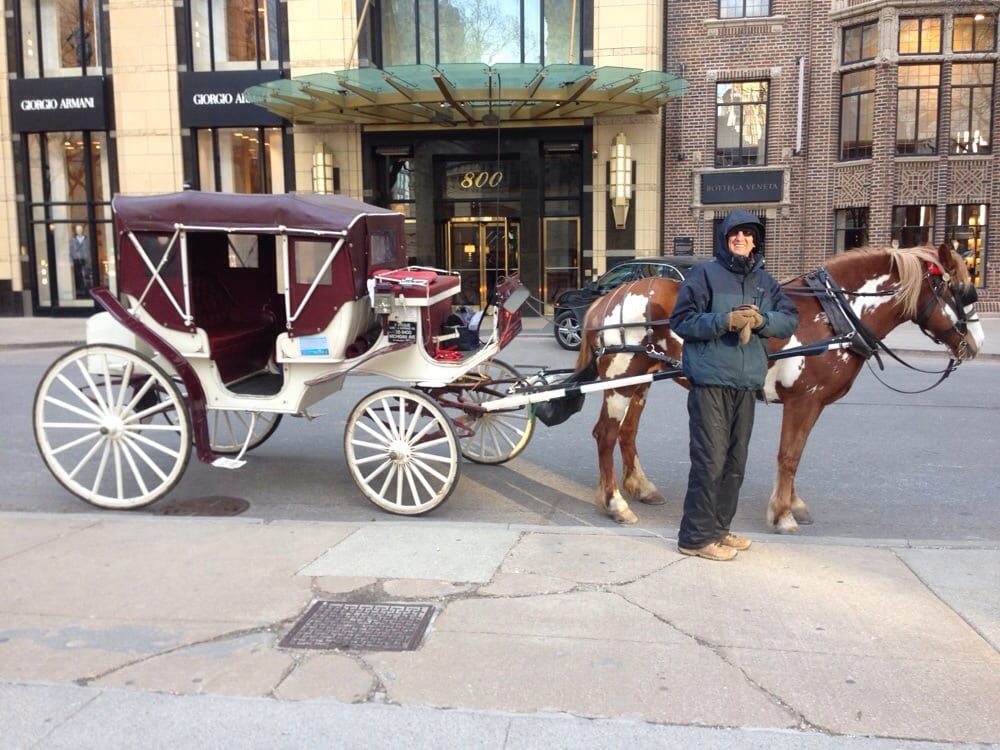 CHICAGO HORSE & CARRIAGE LTD CLOSED 52 Reviews 806 N Michigan Ave, Chicago, Illinois