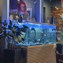Pho Saigon - Vietnamese Noodle Soup & Grill