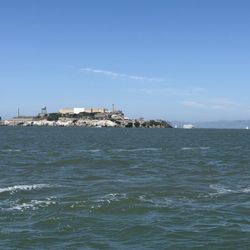 Sail San Fran