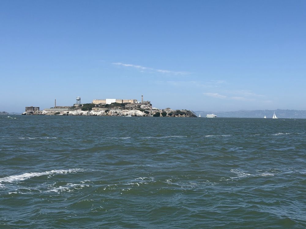 Sail San Fran Logo