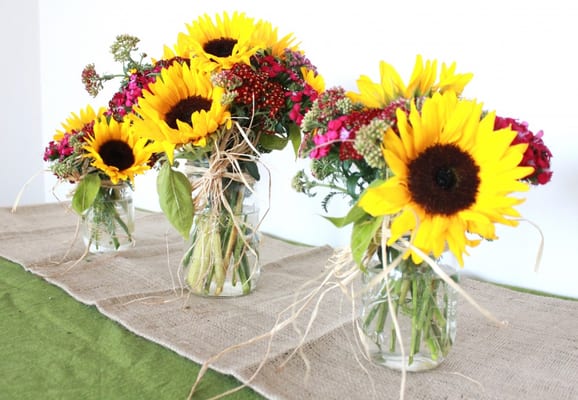 Hugs & Kisses by null