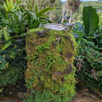 Kauai Aadheenam Hindu Monastery - Water fountain - Hindu Temples Near Me - Kapaa, Hawaii