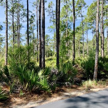 Tibet-Butler Preserve - Parks Near Me - Orlando, Florida Tibet-Butler Preserve - Parks Near Me - Orlando, Florida
