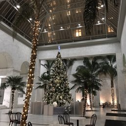 All festive for Christmas. One of my favorite trees downtown! All festive for Christmas. One of my favorite trees downtown!