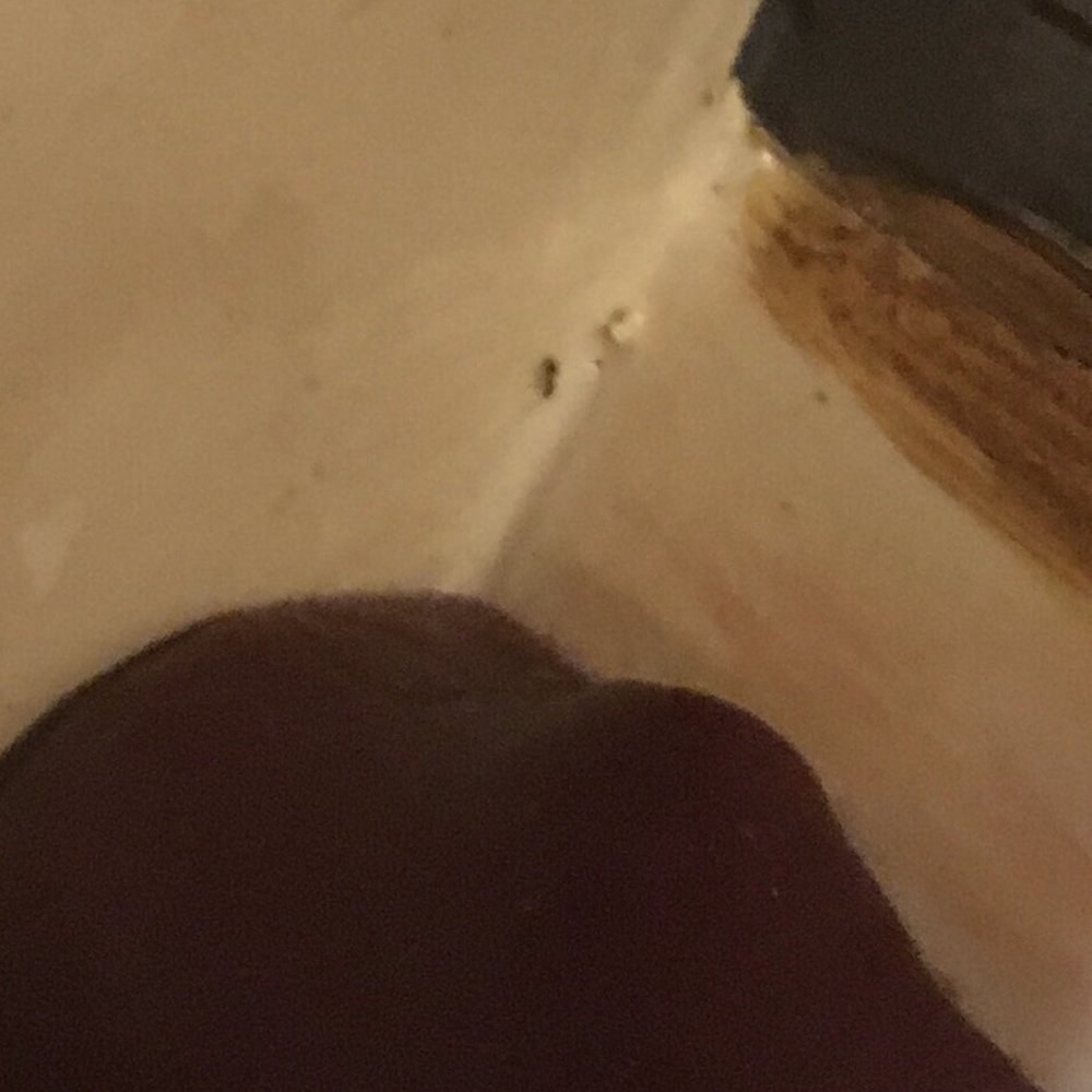 La Tonalteca - Ants!! - Mexican Near Me - Millsboro, Delaware