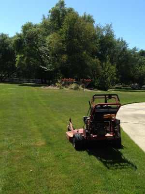 Lawn Services/Maintenance - We can handle any type of Lawn Services or Maintenance!Garden Maintenance :
Landscape Maintenance
Lawn Seeding
Yard Cleaning
Irrigation Installation
Lawn Maintenance
Shrubs, Hedges & Bushes Lawn Services/Maintenance - We can handle any type of Lawn Services or Maintenance!Garden Maintenance :
Landscape Maintenance
Lawn Seeding
Yard Cleaning
Irrigation Installation
Lawn Maintenance
Shrubs, Hedges & Bushes