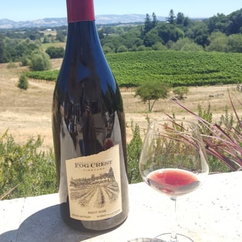 Fog Crest Vineyard - Patio Pinot Noir with Jersey Tom Wine Country Tours! - Wine Tasting Room Near Me - Sebastopol, California