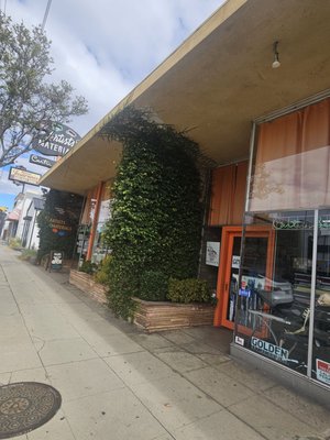 Carter Sexton Artists Materials by null