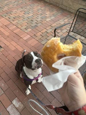Urban Donut & Coffee by null