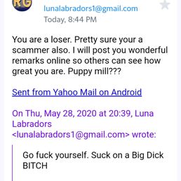 This is how these folks at Susana Labrador talk to potential customers. No wonder they have to discount the puppies. Very sad. This is how these folks at Susana Labrador talk to potential customers. No wonder they have to discount the puppies. Very sad.