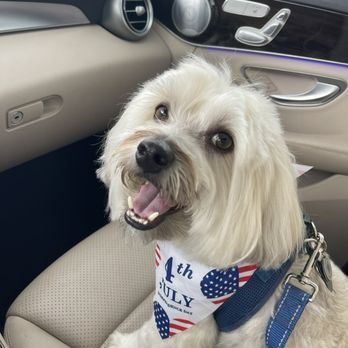 Clip Joint - Pet Groomers Near Me - West Palm Beach, Florida Clip Joint - Pet Groomers Near Me - West Palm Beach, Florida