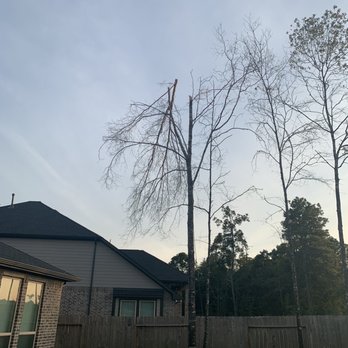 Crystal Tree Service - Tree Services Near Me