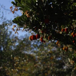 Parque Juan Pablo II