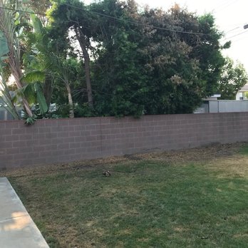So Cal Pruners - After Removal - Tree Services Near Me So Cal Pruners - After Removal - Tree Services Near Me