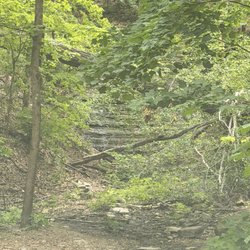 West Meade Waterfall - What is this!!???