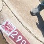 Photo of Curb Effects