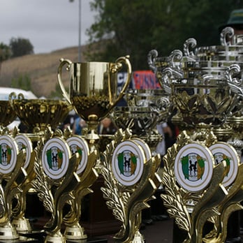 WebInke Design - Feis at the Fair Logo Trophies - Web Design Near Me WebInke Design - Feis at the Fair Logo Trophies - Web Design Near Me