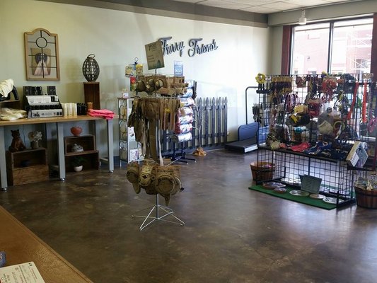 furry friends holistic pet spa