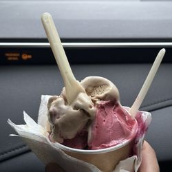 Chocolaterie Chocomax - Coffee & blueberry sorbet