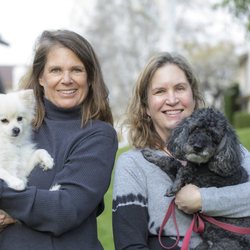 Ruth Collins Pet Services - Ruth is my kindred spirit. We are both named Ruth and we are both dog walkers.