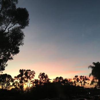 Great Wall Express 51 Photos 55 Reviews Chinese 3555 Rosecrans St San Diego Ca Restaurant Reviews Phone Number Menu