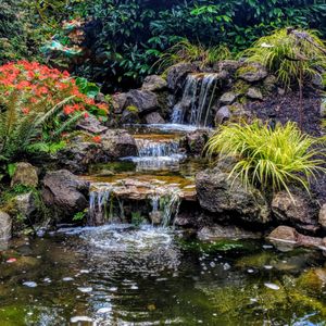 Affordable Ponds NW on Yelp