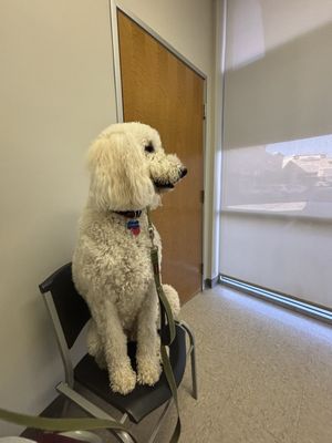 Lili Veterinary Hospital