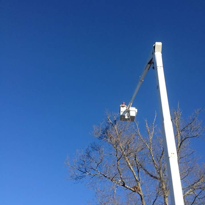 Chiltons Landscaping Tree Service - tree service in Stoneville , NC