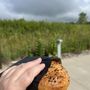 Photo of Bite This