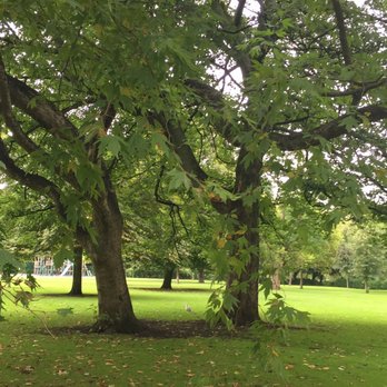 St Stephen's Green - Parks Near Me - Dublin, D St Stephen's Green - Parks Near Me - Dublin, D