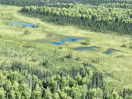 Rust's Flying Service by null