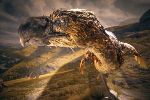 Ancient Ozarks Natural History Museum by null