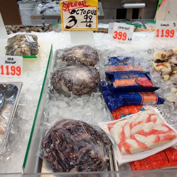 Starbrook Market - a variety of seafood on ice - Grocery Near Me - New York, New York Starbrook Market - a variety of seafood on ice - Grocery Near Me - New York, New York