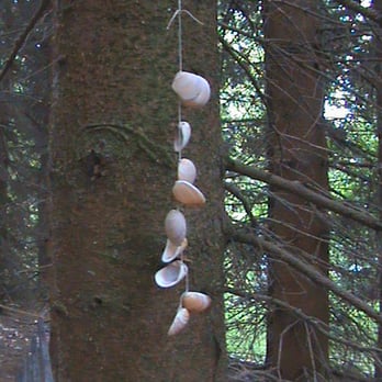 Botanischer Garten Schellerhau - Museums Near Me - Altenberg, SN