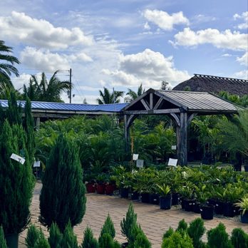 Flamingo Road Nursery - Nurseries & Gardening Near Me - Davie, Florida Flamingo Road Nursery - Nurseries & Gardening Near Me - Davie, Florida