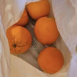 Orcutt Tuesday Farmers Market - 5 cara cara for $10