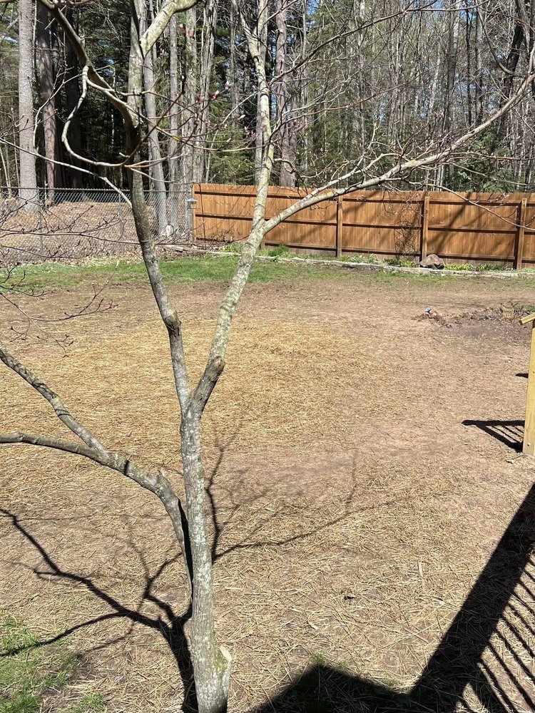 Slide of Superior Drain